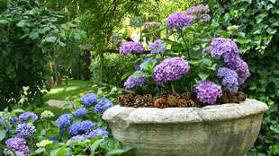 Gartenpflege Gartenpflege